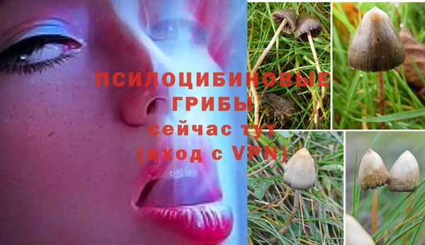 героин Абаза
