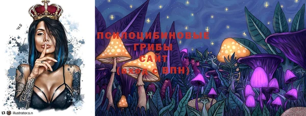 МДПВ Абинск