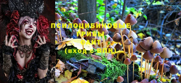 МДПВ Абинск