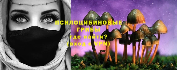 МДПВ Абинск