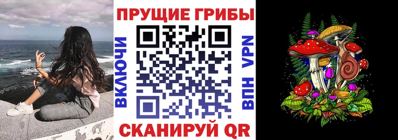 наркота Кинешма Псилоцибиновые грибы ЛСД